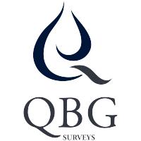 QBG Surveys Logo