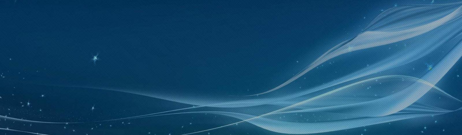 National Securities Company National Securities Company LLC