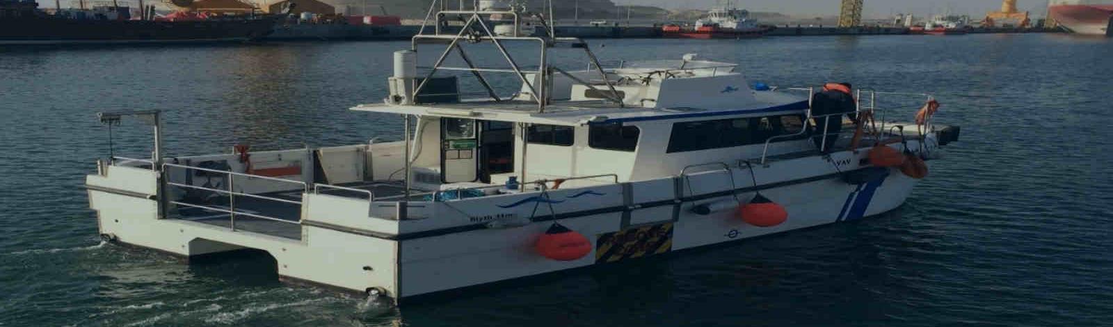 QBG Surveys QBG Surveys